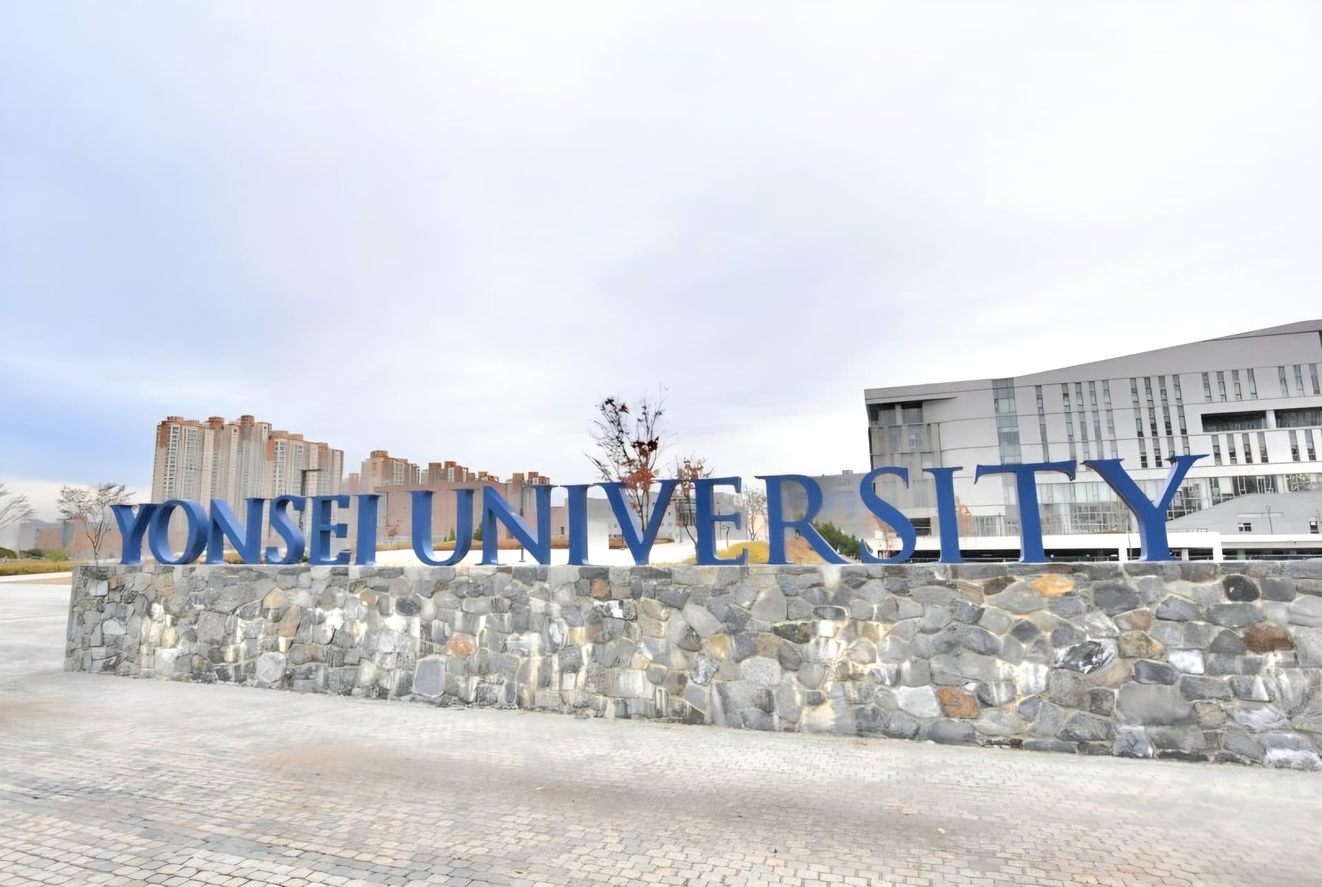 연세대학교 국제캠퍼스 1